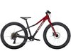 Trek Roscoe 24 24 Rage Red to Dnister Black Fade